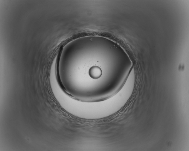 X0000092251157200709281138