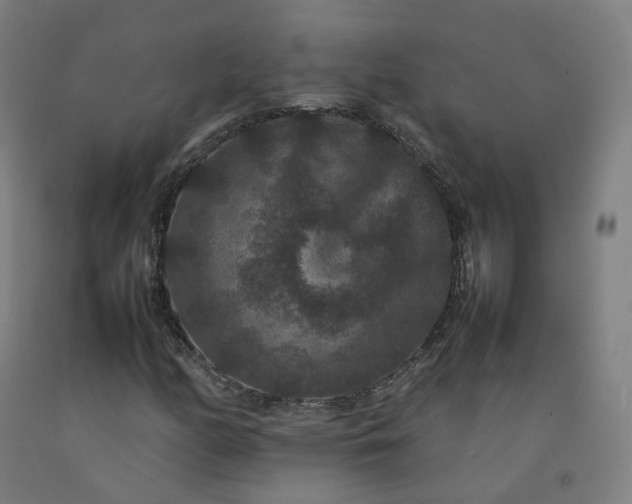 X0000092251158200709281138