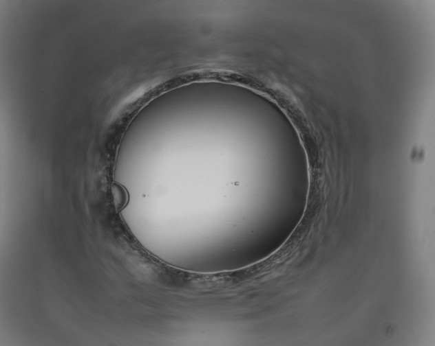 X0000092251159200709281138