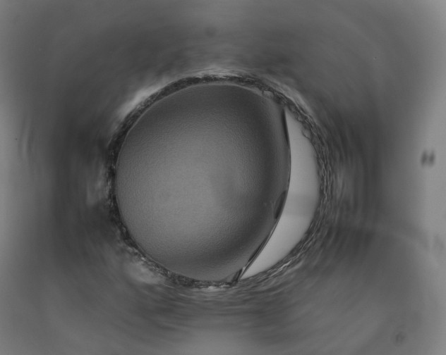 X0000092251160200709281138