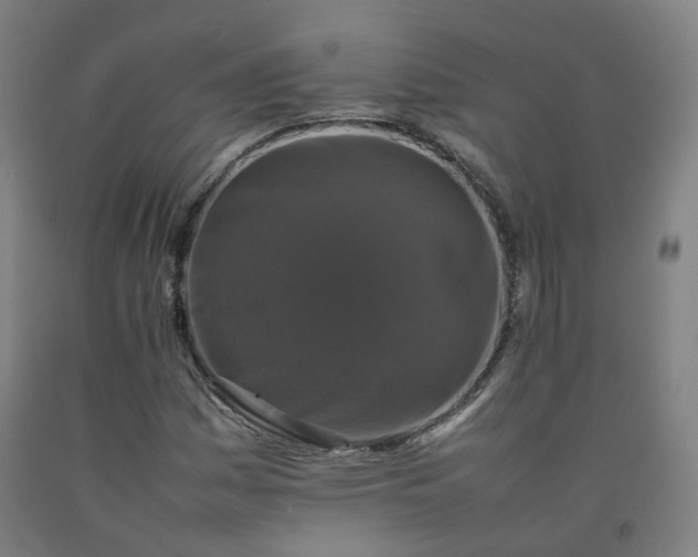 X0000092251161200709281138