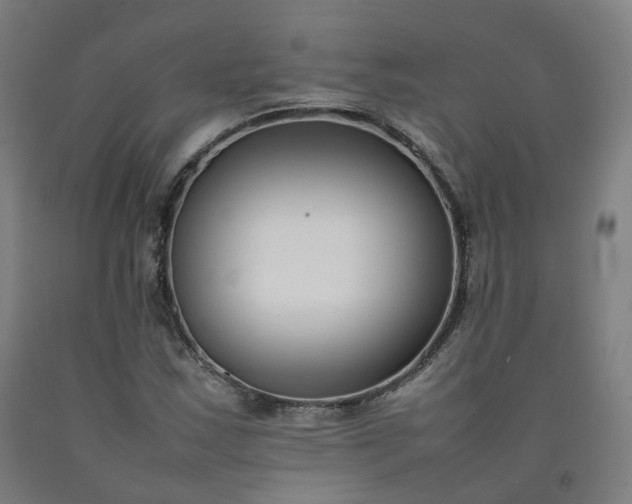 X0000092251163200709281138