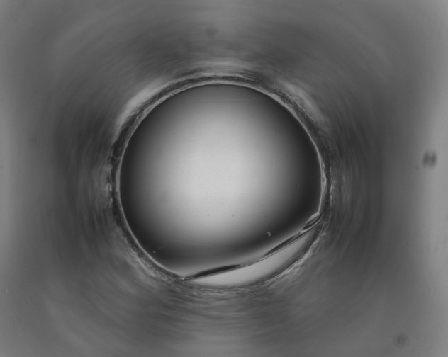 X0000092251164200709281138