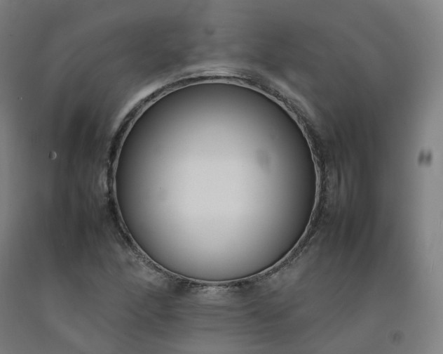 X0000092251166200709281138