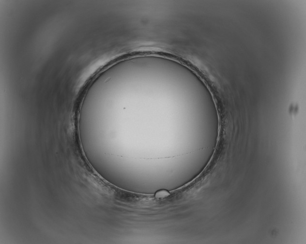 X0000092251167200709281138