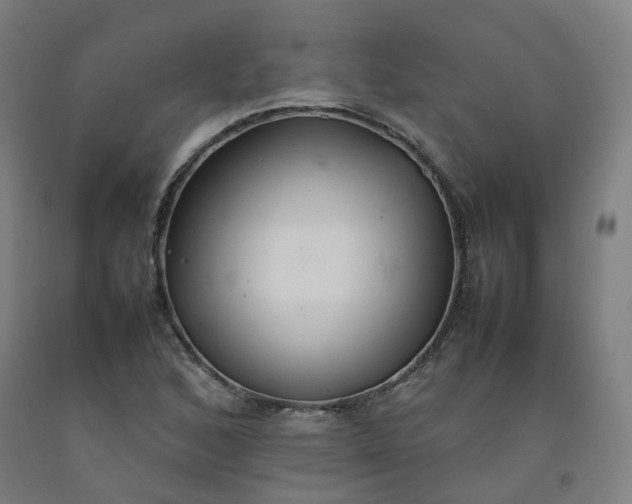 X0000092251168200709281138