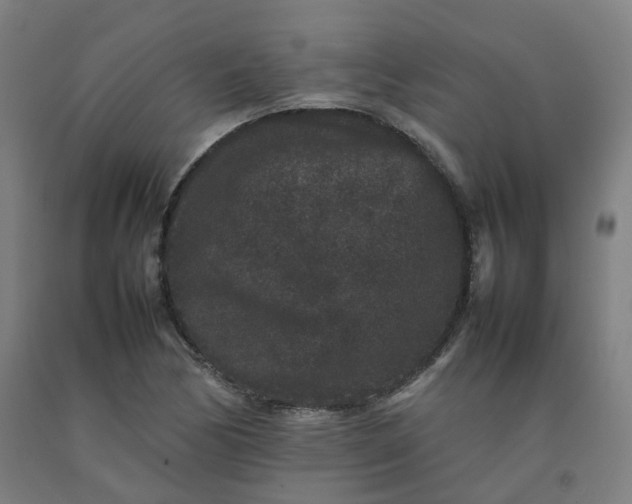 X0000092251170200709281138