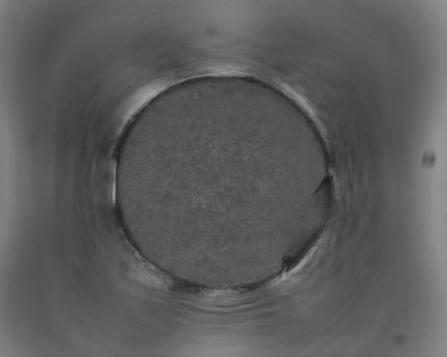 X0000092251171200709281138