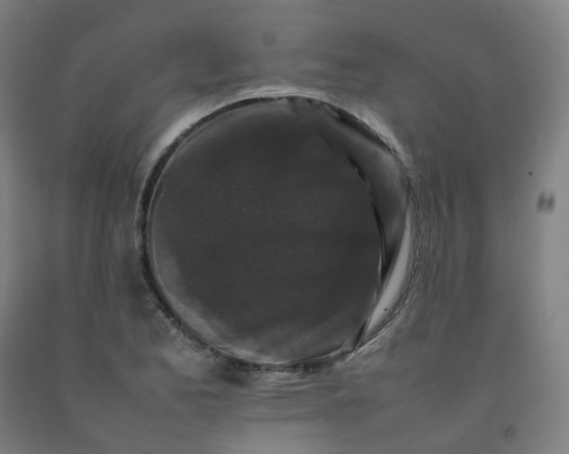 X0000092251173200709281138