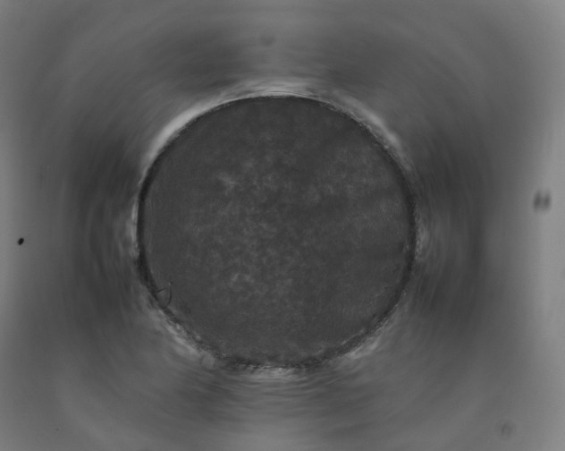 X0000092251174200709281138