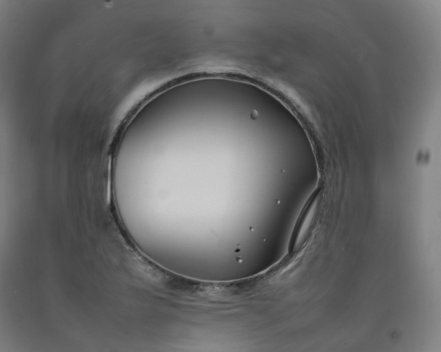 X0000092251175200709281138