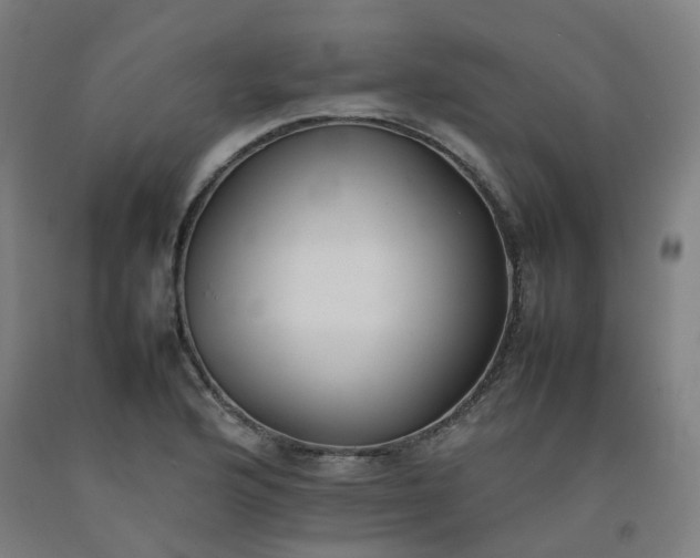 X0000092251176200709281138