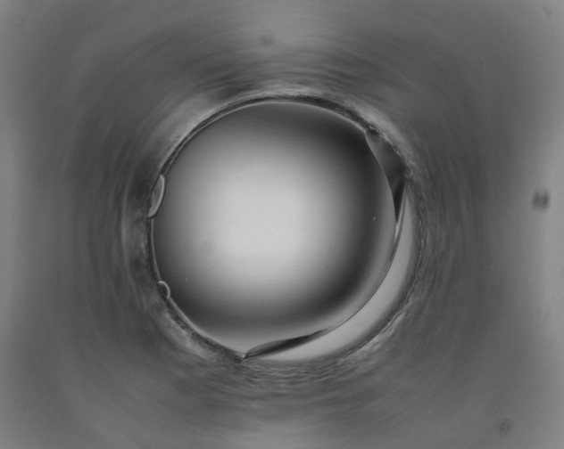 X0000092251177200709281138