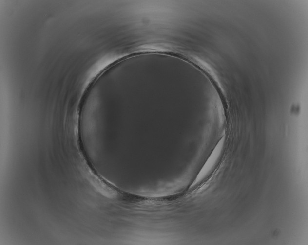 X0000092251179200709281138