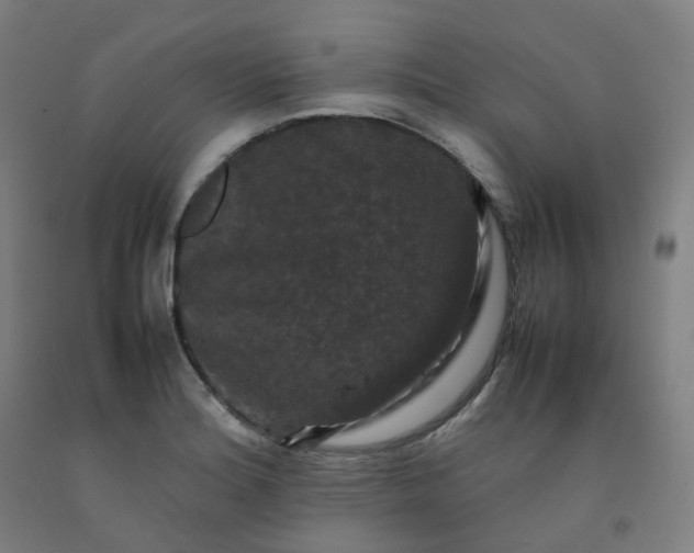 X0000092251180200709281138