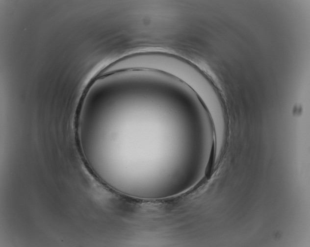 X0000092251181200709281138