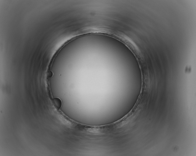 X0000092251182200709281138