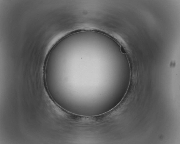 X0000092251183200709281138