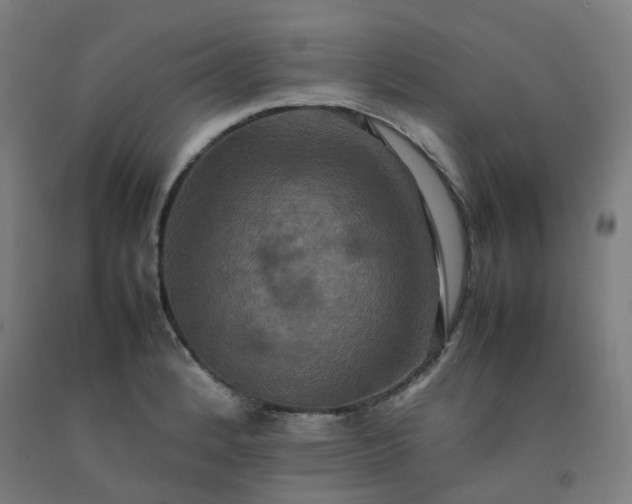 X0000092251184200709281138