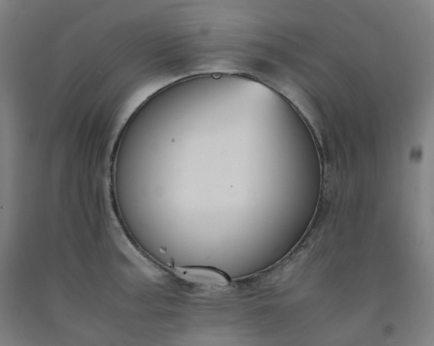 X0000092251187200709281138