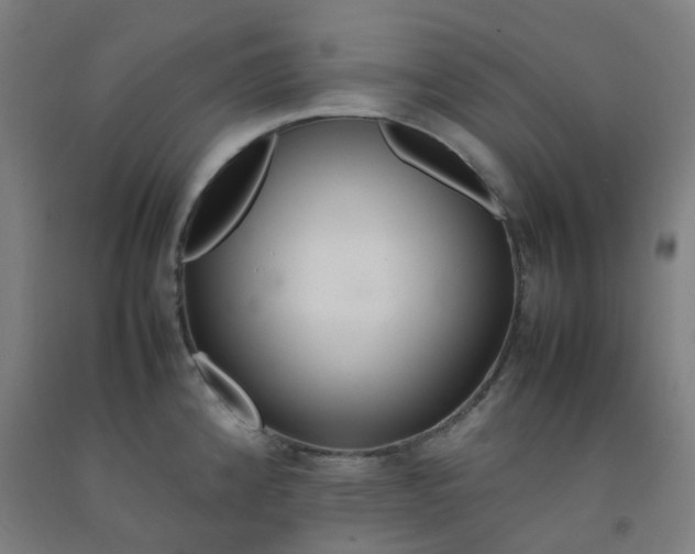 X0000092251192200709281138