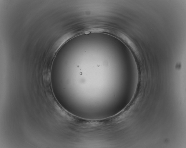 X0000092251193200709281138