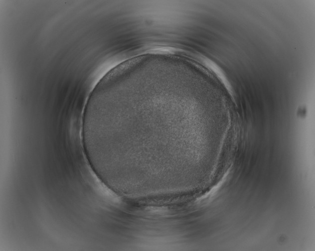 X0000092251194200709281138