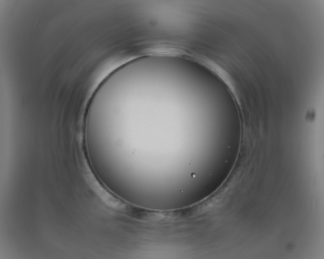 X0000092251195200709281138