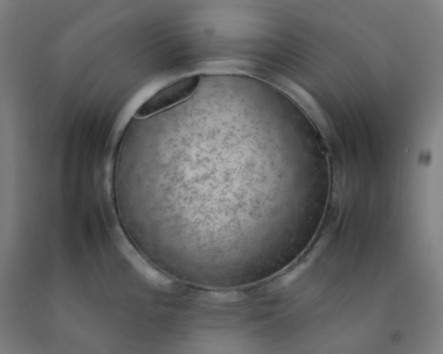 X0000092251196200709281138