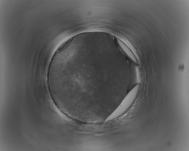 X0000092251197200709281138