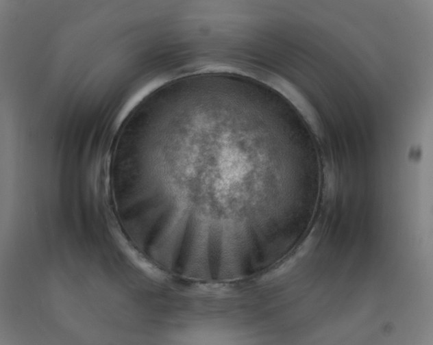 X0000092251198200709281138