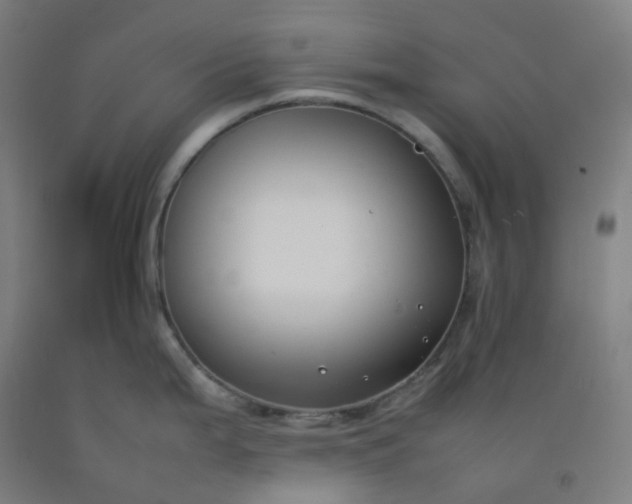 X0000092251199200709281138