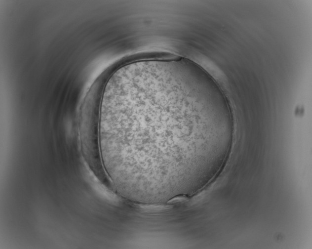 X0000092251200200709281138