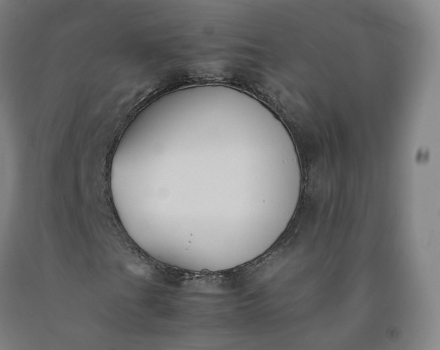 X0000092251201200709281137