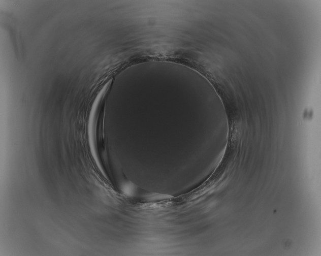 X0000092251202200709281137