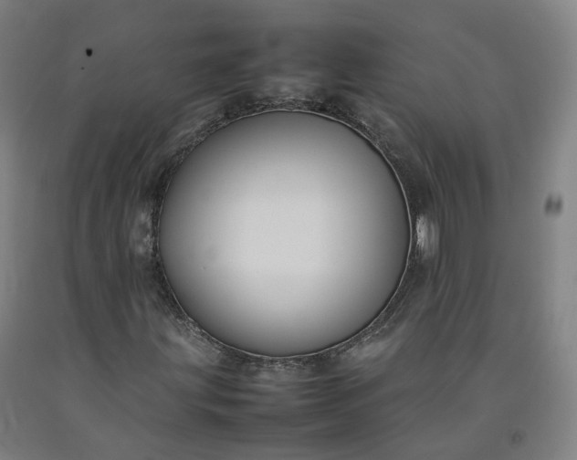 X0000092251203200709281137