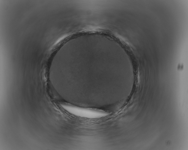 X0000092251206200709281137