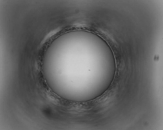 X0000092251207200709281137