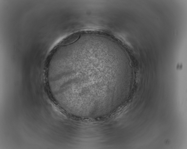 X0000092251208200709281137