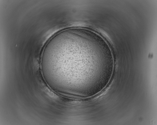 X0000092251212200709281137