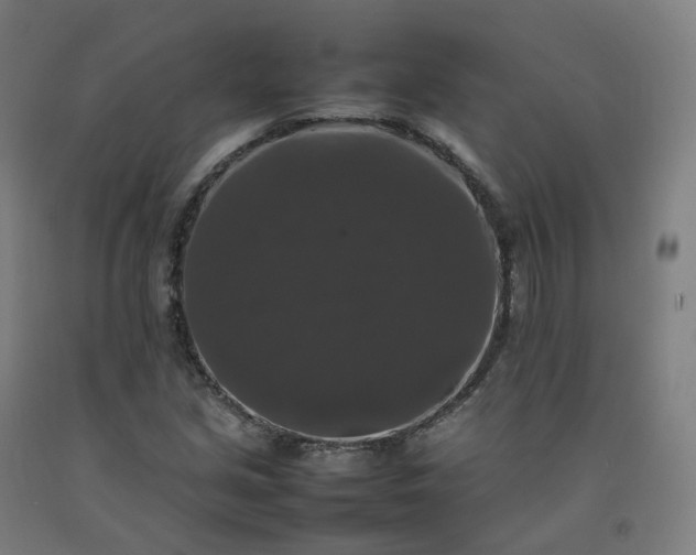 X0000092251213200709281137