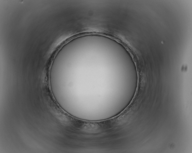 X0000092251215200709281137