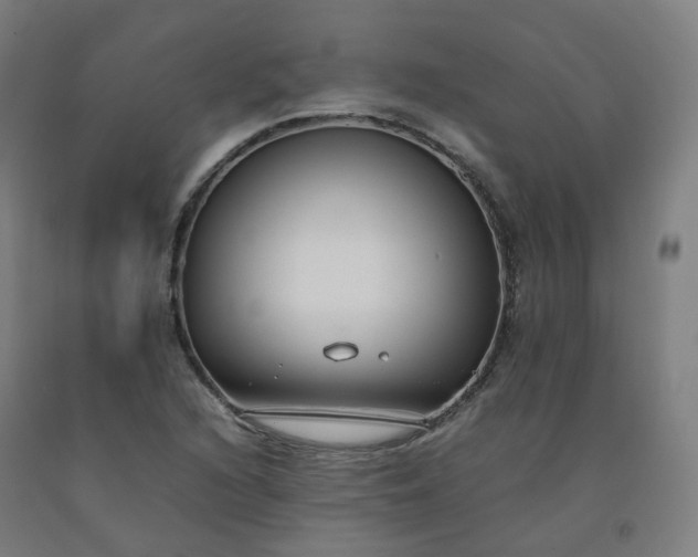 X0000092251216200709281137