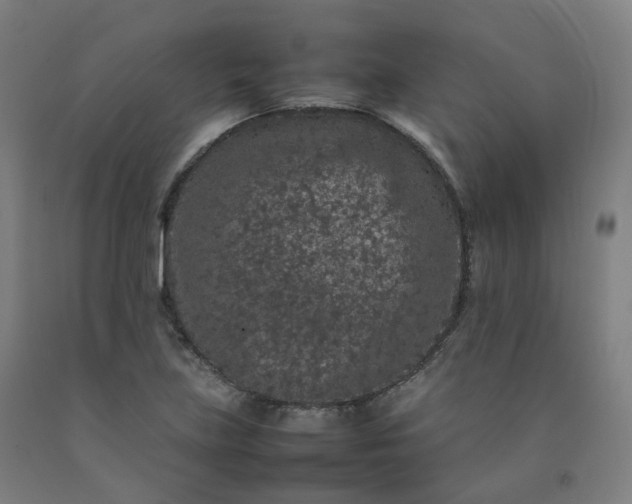 X0000092251219200709281137