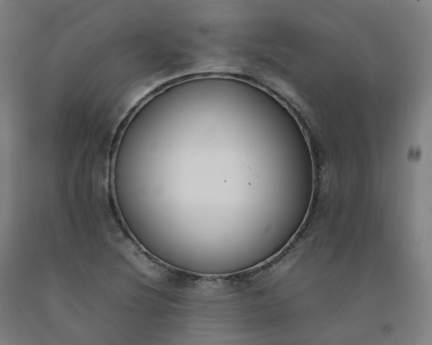 X0000092251220200709281137