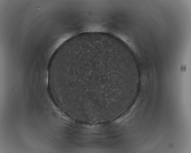 X0000092251221200709281137