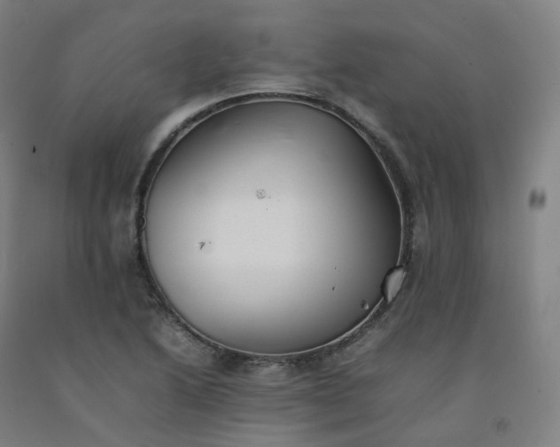 X0000092251222200709281137