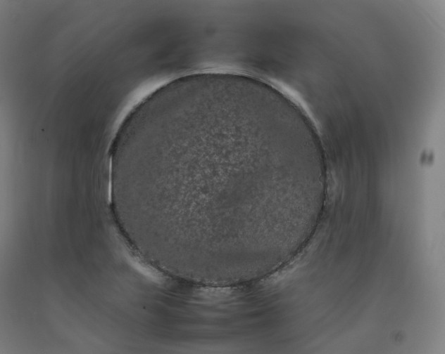 X0000092251223200709281137