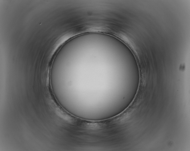 X0000092251227200709281137