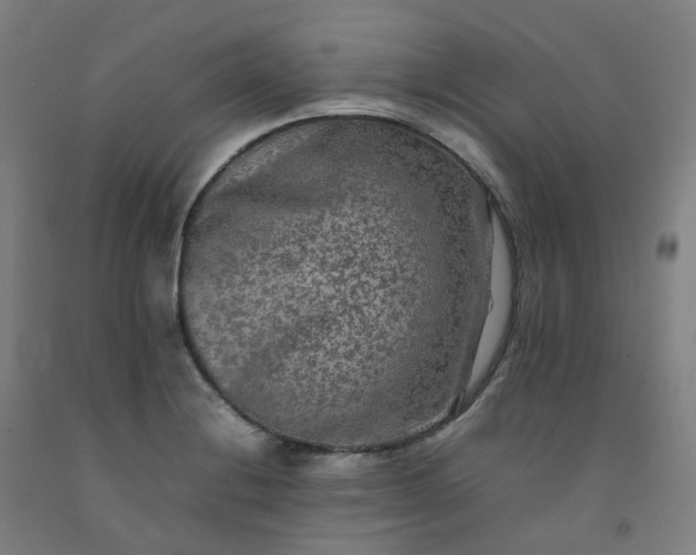 X0000092251228200709281137